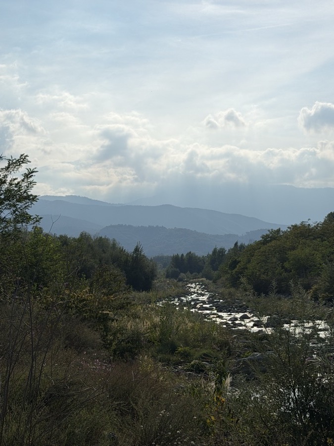 The blue Alps