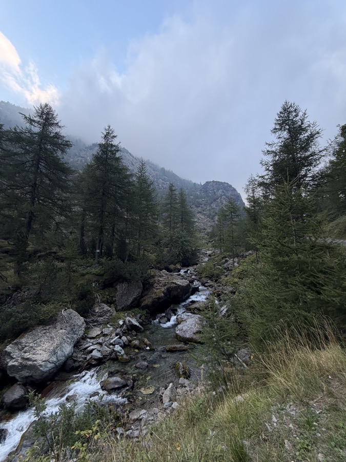 The Pellice